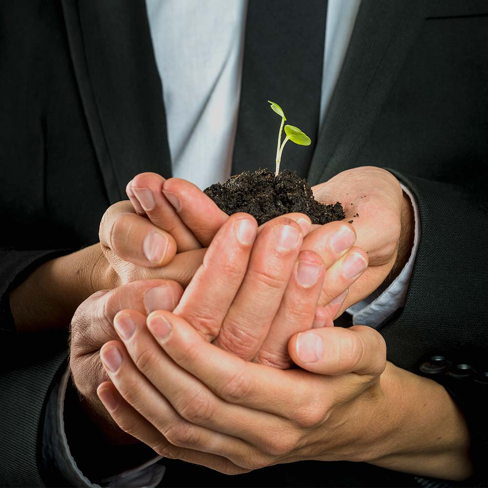 Creazione di Start-up - Sostenibilità del business